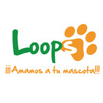 LOOPS